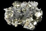 Cubic Pyrite & Quartz Crystal Association - Peru #133014-3